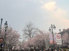 -天津五大道文化旅游区