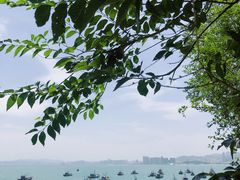 -海源公园
