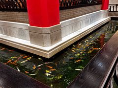 -龙悦湾酒家·八阵鱼生·渔人码头店