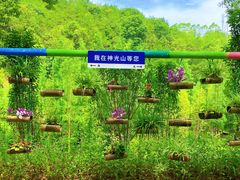 -神光山国家森林公园