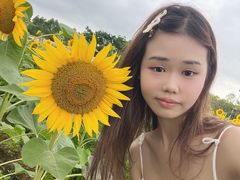 -光明小镇欢乐田园