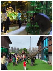 -恐龙探索乐园(磁器口店)