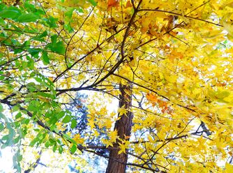 地理位置： 颐和园北宫门进入、过苏州街的小桥、往左手