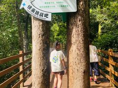 -野象谷景区
