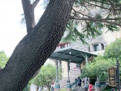-青岛德国总督楼旧址博物馆