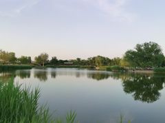 -西海子公园