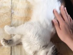 -龙达温泉生态城