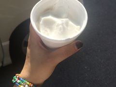 -洪馨椰子