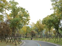 -牛岗山公园
