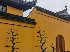 -无锡梅园公园
