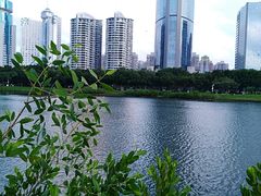 -万绿园