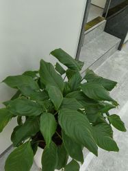 -悟空祛痘·诺奖技术专业店