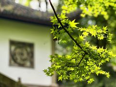 -虎跑公园