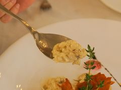 牛肝菌芝士烩饭-casamosaico卡萨马可意大利餐厅