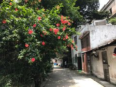 -森成美食店(海珠店)
