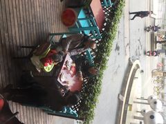 -百年神厨·地道川菜(清江西路店)