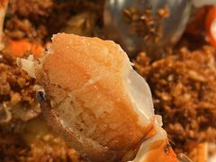 避风塘炒辣蟹-喜记避风塘炒辣蟹(旗舰店)