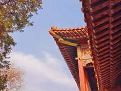 -故宫博物院(故宫)