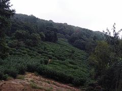 -缥缈峰景区