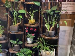 -慢丽江·云南野生菌土鸡锅(付家庄店)
