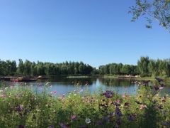 -东郊湿地公园