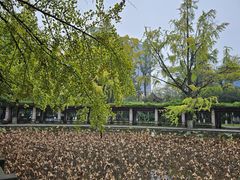 -四川大学(华西校区)