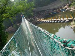 android_upload_pic-沈阳植物园