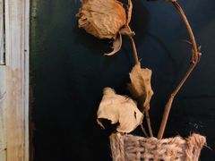 -美丽心情蛋糕(江苏路店)