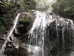 -藏龙百瀑风景区