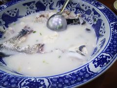-全乐鱼馆·淳牌有机鱼直营店