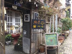 -猫色咖啡·猫咖