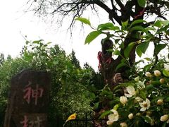 -塞罕坝国家级自然保护区