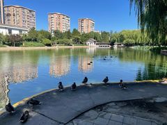 -团结湖公园