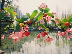 -大宁公园