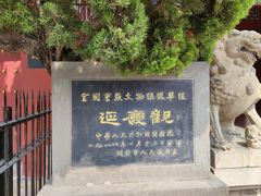 -延庆观