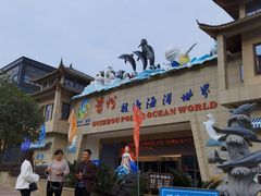 -多彩贵州城极地海洋世界