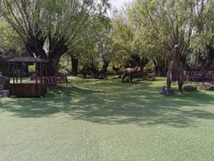 -南通洲际绿博园