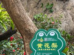 -呀诺达热带雨林