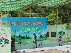 -松山湖梦幻百花洲
