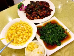 兴圆苑-兴圆苑