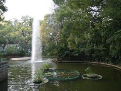 -九龙公园