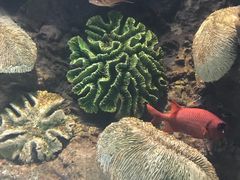-苏州海洋馆