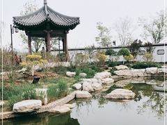 -水西公园