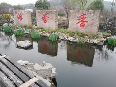 -香雪海