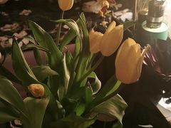 -Gucci(北京SKP店)