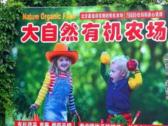 -大自然农场蔬菜草莓采摘园