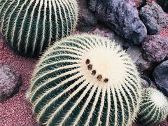 -南通洲际绿博园