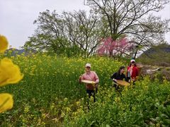 -寨沙侗寨(侗族歌堂)