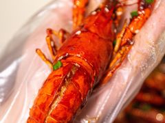 -松哥油焖大虾.小龙虾.黑鸭煲(海岸城店)
