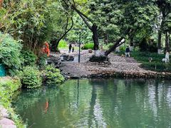 -成都市活水公园